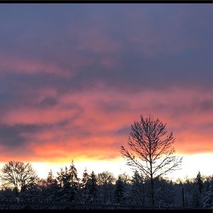 Meet your Posher, Alexa